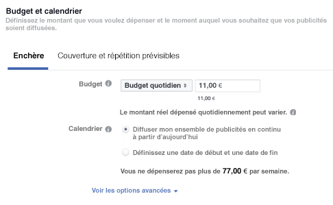 Panneau de définition des budgets et enchères Facebook Ads